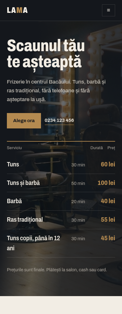 Site de frizerie pe telefon